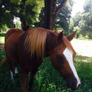 Off shoulder denim top